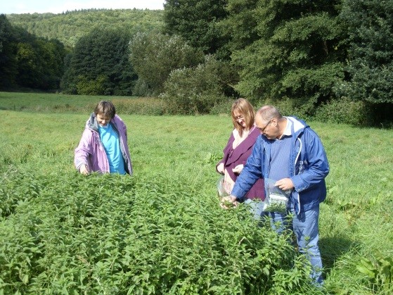 kraeuterwanderungen-01