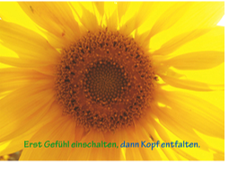 offene_seminare_02-02