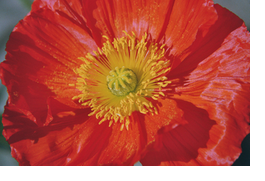 offene_seminare_04-03